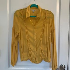 Amuse Society Long sleeve, Button up Blouse